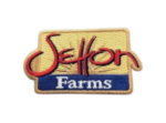 Custom_Iron_On_Embroidery_Patches-removebg-preview-300×222-1.png